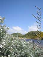 real estate, real estate broker, CAR, MCAR, monterey bay real estate, photography, web design, art, buy a home, sell a home